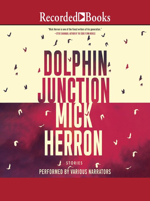 Cover image for Dolphin Junction
